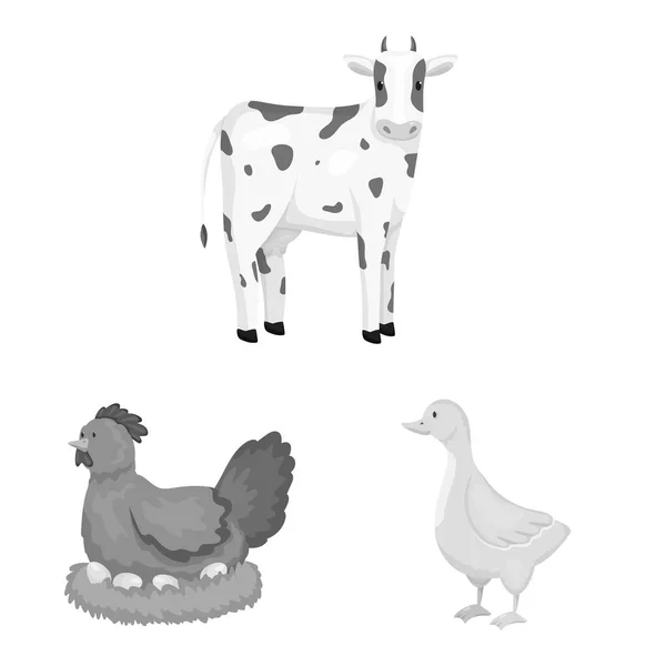 Vektoros illusztráció tanya és mezőgazdaság szimbóluma. Gyűjteménye tanya és konyhai vektor ikon készlet. — Stock Vector