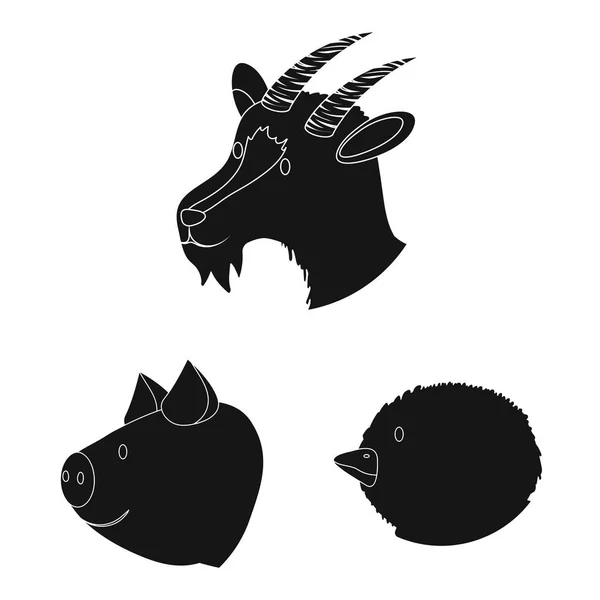 Diseño vectorial de rancho y símbolo orgánico. Colección de rancho y cabeza icono de vector para stock . — Vector de stock