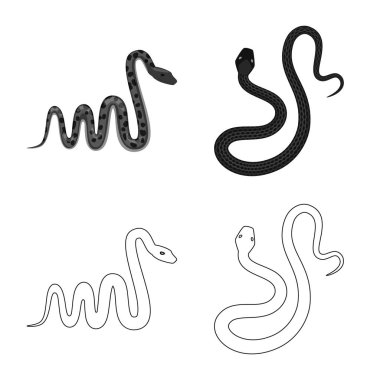 Memeli ve tehlike logo vektör Illustration. Memeli ve tıp hisse senedi simgesi için web topluluğu.