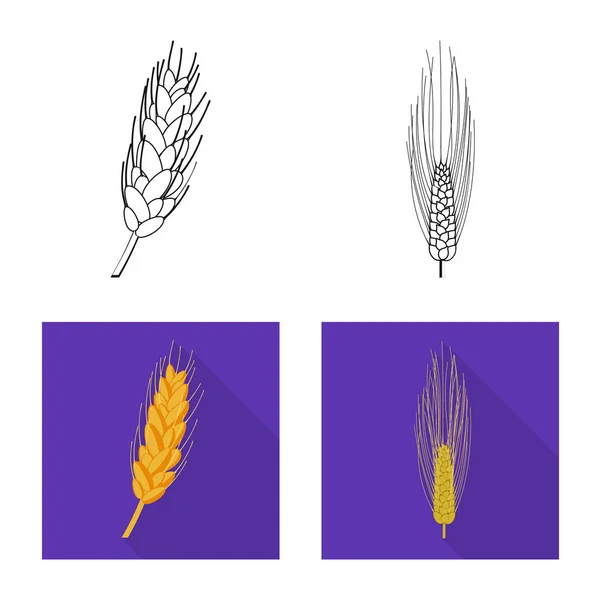 Ilustração vetorial da agricultura e ícone da agricultura. Coleta de agricultura e ícone de vetor de planta para estoque . — Vetor de Stock