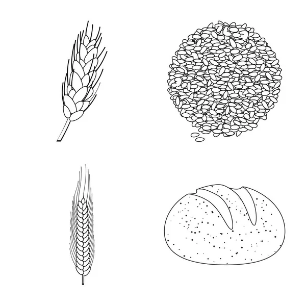 Векторное проектирование сельского хозяйства и эмблемы сельского хозяйства. Набор векторных иконок для сельского хозяйства и растений . — стоковый вектор