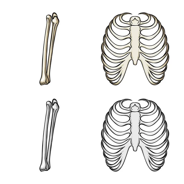 Ilustração vetorial da medicina e do signo clínico. Coleção de medicina e ícone de vetor médico para estoque . — Vetor de Stock