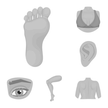 Vücut ve parçası sembol yalıtılmış nesne. Vücut ve anatomi hisse senedi simgesi için web topluluğu.