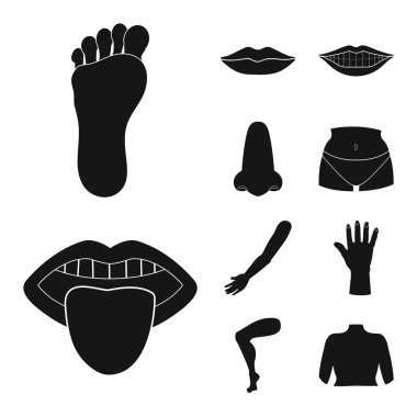 Vücut ve bölümü simge vektör çizim. Web için vücut ve anatomi hisse senedi simgesi kümesi.