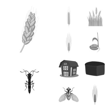 Çavdar ve bitki simgesi yalıtılmış nesne. Çavdar topluluğu ve hisse senedi için Mısır vektör simgesi.