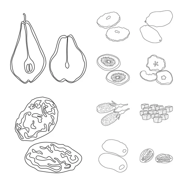 Illustration vectorielle des aliments et des symboles crus. Ensemble de nourriture et symbole de stock de la nature pour la toile . — Image vectorielle