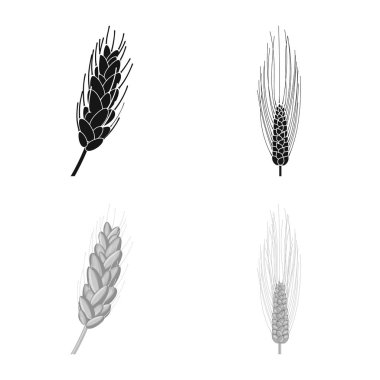 Tarım ve tarım simge vektör tasarımı. Web için Tarım ve bitki hisse senedi simgesi kümesi.