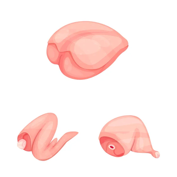Ilustración vectorial de carne y símbolo crudo. Conjunto de ilustración de vectores de carne y caldo a la parrilla . — Vector de stock