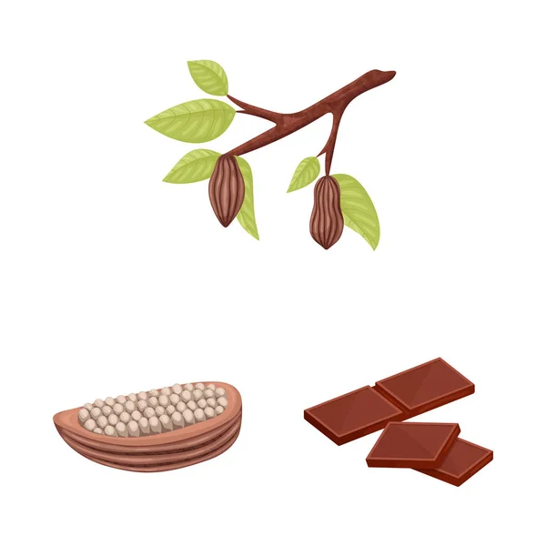 Ilustracja wektorowa symbolu kakao i ziaren. Kolekcja symbolu zapasów kakao i słodyczy dla sieci. — Wektor stockowy