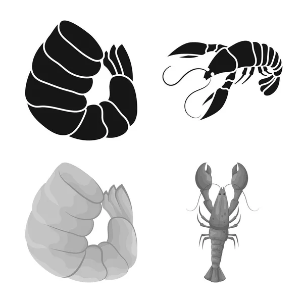 Conception vectorielle de l'apéritif et le symbole de l'océan. Ensemble d'apéritif et icône vecteur de délicatesse pour stock . — Image vectorielle