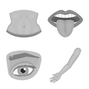 Vektör tasarımı bölümü ve vücut sembolü. Vücut ve anatomi hisse senedi vektör çizim seti.