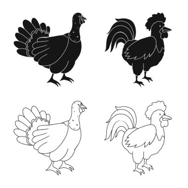 Üreme ve mutfak logosu yalıtılmış nesne. Set ıslahının ve organik stok vektör çizim.