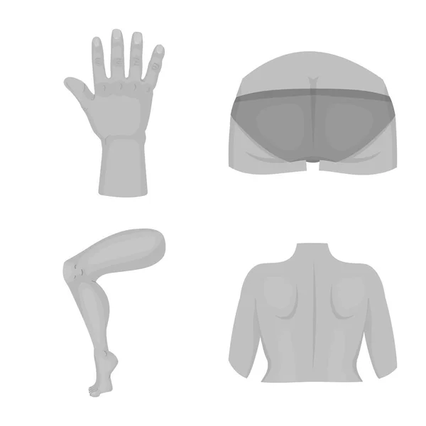 Векторная иллюстрация иконки тела и части тела. Коллекция векторных значков тела и анатомии для инвентаря . — стоковый вектор