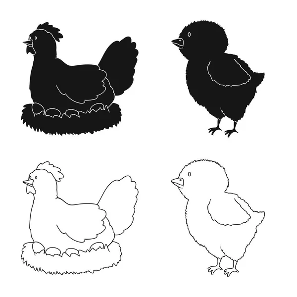 Illustration vectorielle de l "élevage et icône de cuisine. Ensemble de symbole de l'élevage et du stock biologique pour la toile . — Image vectorielle