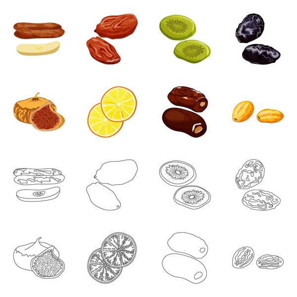 Vector illustration of food and raw symbol. Set of food and nature vector icon for stock. — Stock Vector