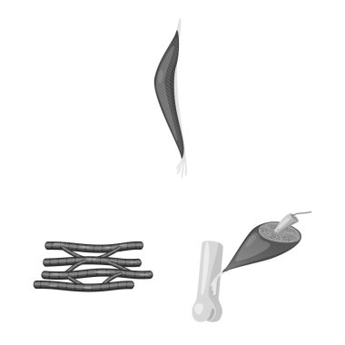 İnsan vektör çizim ve vücut sembolü. İnsan kümesi ve web için hücreleri hisse senedi simgesi.