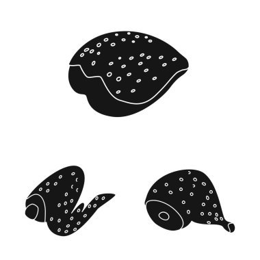 Restoran ve tarım sembolü izole nesne. Stok için restoran ve ham vektör simgesi seti.