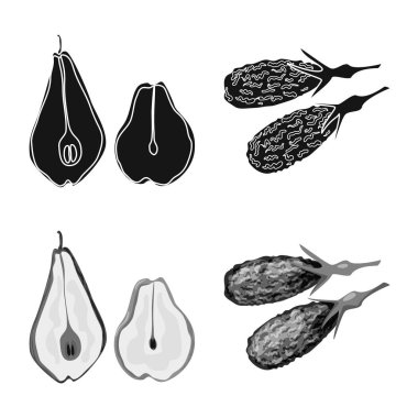 Gıda ve ham işareti vektör tasarımı. Gıda ve doğa hisse senedi vektör çizim topluluğu.