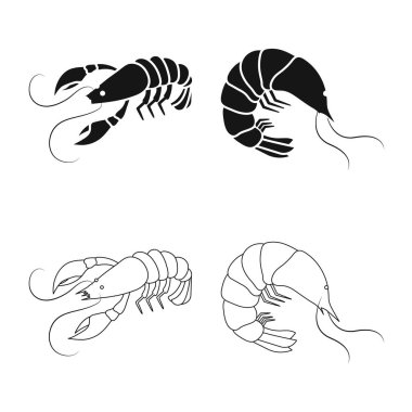 Meze ve okyanus simge vektör tasarımı. Meze ve incelik hisse senedi vektör çizim topluluğu.