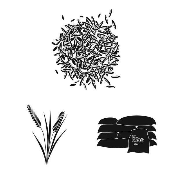 Conception vectorielle de l'alimentation et icône de la cuisine. Ensemble de régime alimentaire et symbole de stock biologique pour la toile . — Image vectorielle