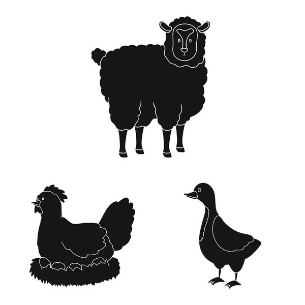 Ilustracja wektorowa ranczo i symbolu organicznego. Kolekcja ranczo i ikona wektor żywności na czas. — Wektor stockowy