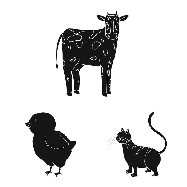 Ilustración vectorial de rancho y logotipo orgánico. Colección de rancho y alimento símbolo de stock para la web . — Vector de stock