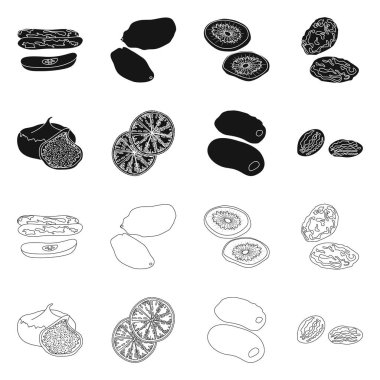Gıda ve ham simge vektör çizimi. Gıda ve doğa hisse senedi vektör çizim seti.