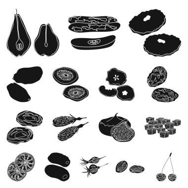 Vitamin ve doğa logo yalıtılmış nesne. Vitamin ve hisse senedi için kurutulmuş vektör ikon koleksiyonu.