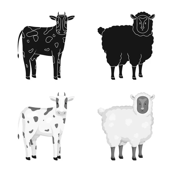 Conception vectorielle de l'élevage et signe de cuisine. Ensemble d'icônes vectorielles de reproduction et biologiques pour le stock . — Image vectorielle