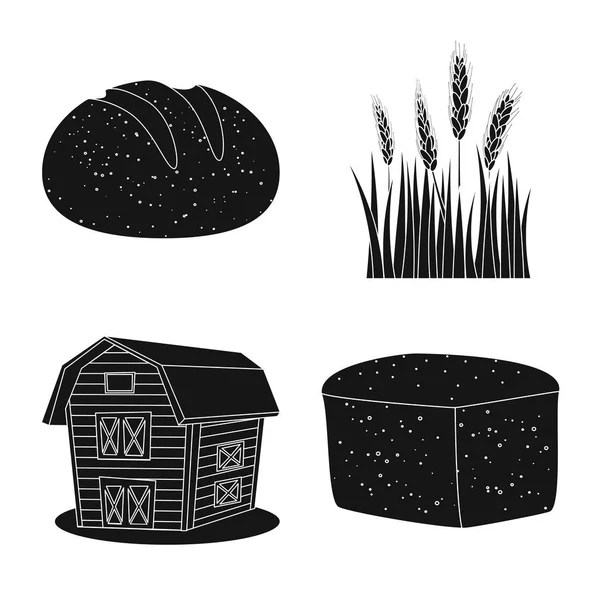 Векторная иллюстрация ржаного и растительного символов. Набор векторных иллюстраций из ржи и кукурузы . — стоковый вектор