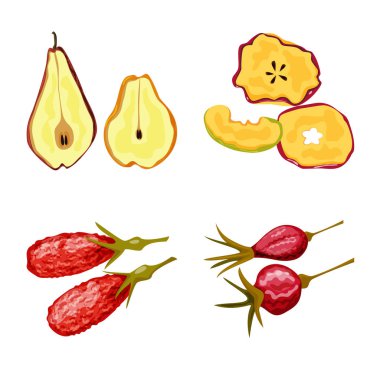 Meyve ve kurutulmuş logo izole nesne. Web için meyve ve gıda stok sembolü toplama.