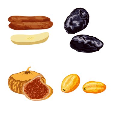 Meyve ve kurutulmuş işareti izole nesne. Meyve ve gıda stok vektör illüstrasyon toplama.