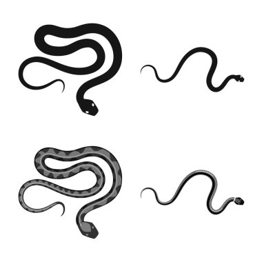 Mammal ve tehlike simge vektör tasarımı. Memeli ve tıp hisse senedi vektör çizim seti.