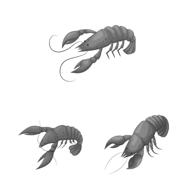 Illustration vectorielle du logo du crabe et de l'apéritif. Jeu de symbole crabe et stock marin pour toile . — Image vectorielle