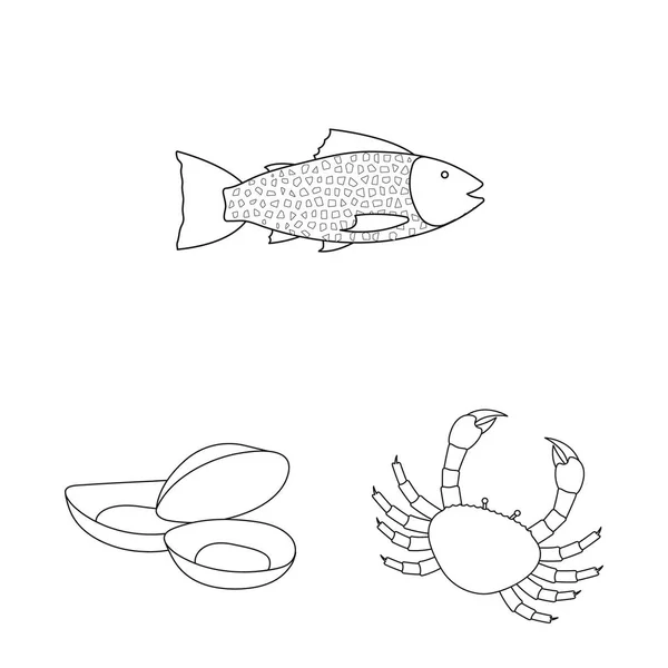 Vektordesign von Lebensmitteln und Meeressymbolen. Sammlung von Lebensmitteln und gesundem Vektorsymbol für Aktien. — Stockvektor