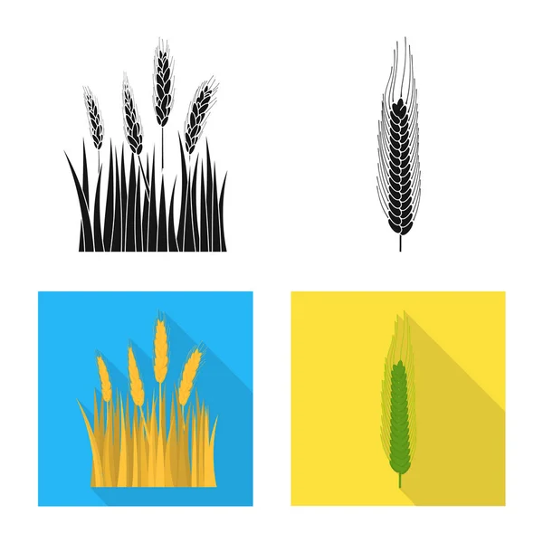 Oggetto isolato di agricoltura e icona dell'agricoltura. Raccolta di illustrazione vettoriale dell'agricoltura e dello stock vegetale . — Vettoriale Stock