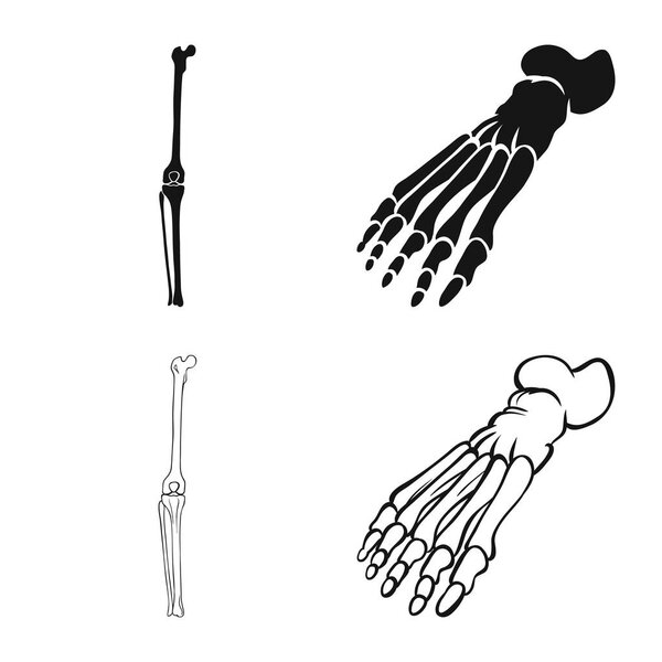 Векторное проектирование медицины и символа клиники. Коллекция лекарственных средств и медицинского инвентаря
.