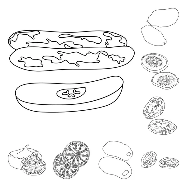 Diseño vectorial de alimentos y símbolo crudo. Conjunto de comida y naturaleza símbolo de stock para web . — Vector de stock