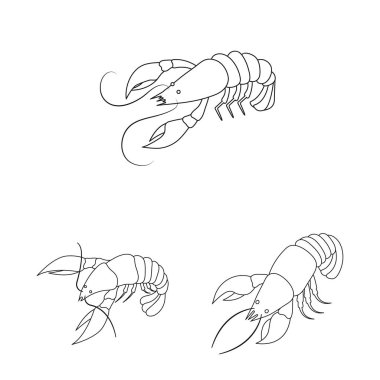 Gıda ve deniz logosu izole nesne. Web için gıda ve hayvan stok sembolü koleksiyonu.