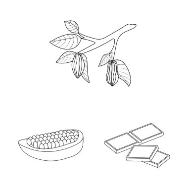 Kakao ve fasulye işaretinin vektör çizimi. Stok için kakao ve tatlılık vektör simgesi.