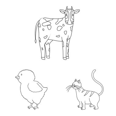 Ev yapımı ve kırsal simge izole nesne. Web için ev yapımı ve tarım stok sembolü seti.