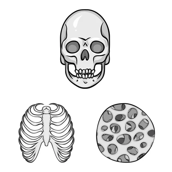 Изолированный объект биологии и медицинский логотип. Коллекция символов биологии и скелета для веб-сайтов . — стоковый вектор