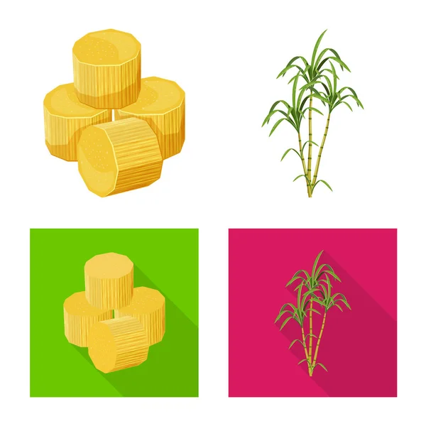 Diseño vectorial de la granja y la agricultura icono. Colección de icono de vector de granja y tecnología para stock . — Vector de stock