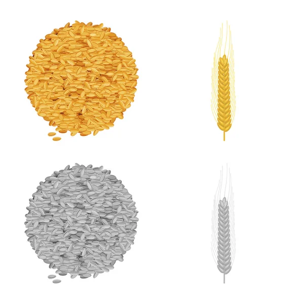Objet isolé de l'agriculture et symbole de l'agriculture. Ensemble d'illustration vectorielle de l'agriculture et du matériel végétal . — Image vectorielle