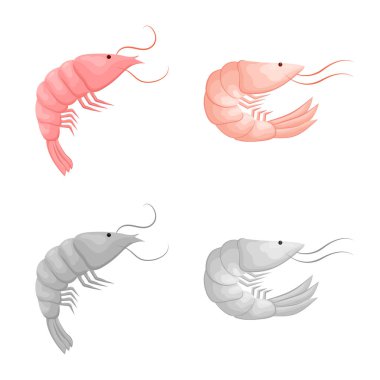 Meze ve okyanus simge vektör Illustration. Meze koleksiyonu ve hisse senedi için incelik vektör simgesi.