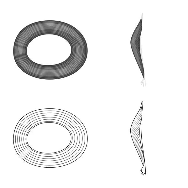 Design vettoriale di fibra e icona muscolare. Set di fibra e corpo stock vettoriale illustrazione . — Vettoriale Stock