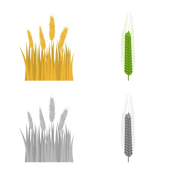 Vector ontwerp van landbouw en landbouw pictogram. Set van pictogram in de landbouw en plant de vector voor voorraad. — Stockvector