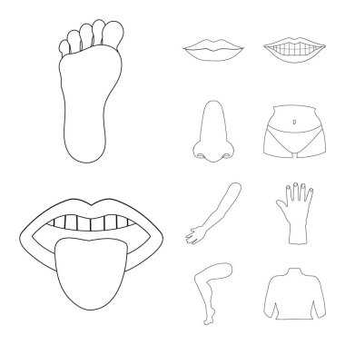 Vücut ve bölüm işareti yalıtılmış nesne. Hisse senedi için vücut ve anatomi vektör simge topluluğu.