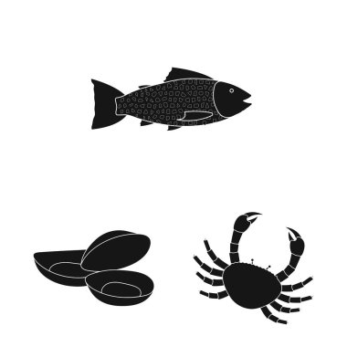 Piyasa ve deniz ikonunun vektör tasarımı. Stok için piyasa ve deniz vektör simgesi koleksiyonu.