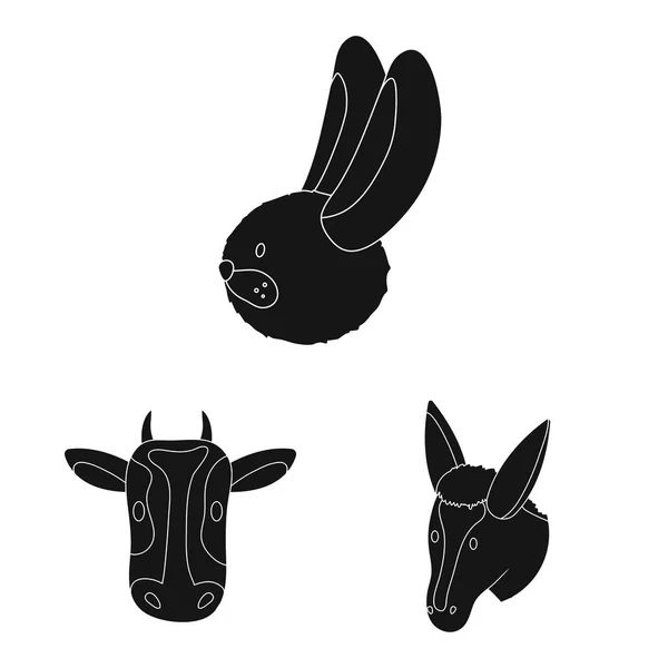 Conception vectorielle de ranch et logo biologique. Collection de ranch et de tête de bétail symbole pour la toile . — Image vectorielle